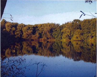 rybník Pluťák na&nbsp;podzim